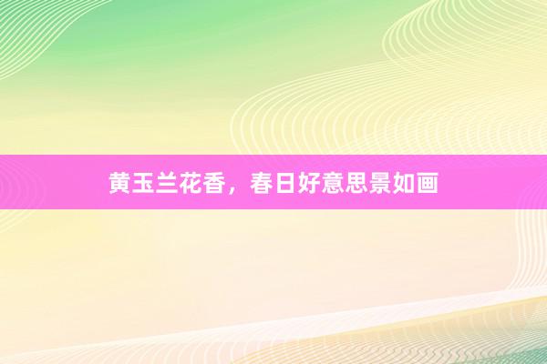 黄玉兰花香，春日好意思景如画