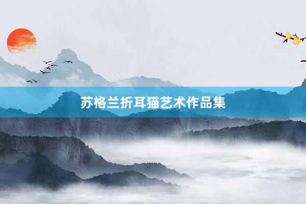 苏格兰折耳猫艺术作品集